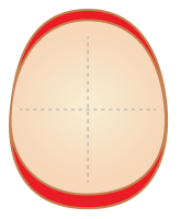 Second inner shell