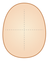 Cranial ratio correction